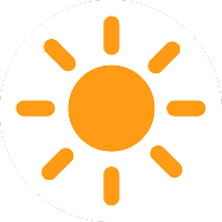 Abelmoschus, Okra 'Clemson Spineless 80' Organic Heirloom