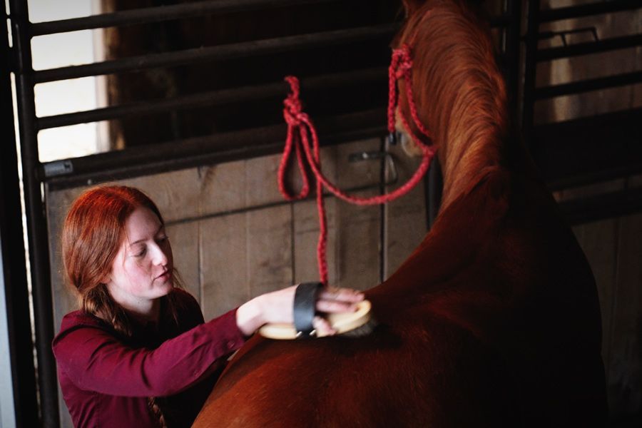 Spring Shedding at the Barn