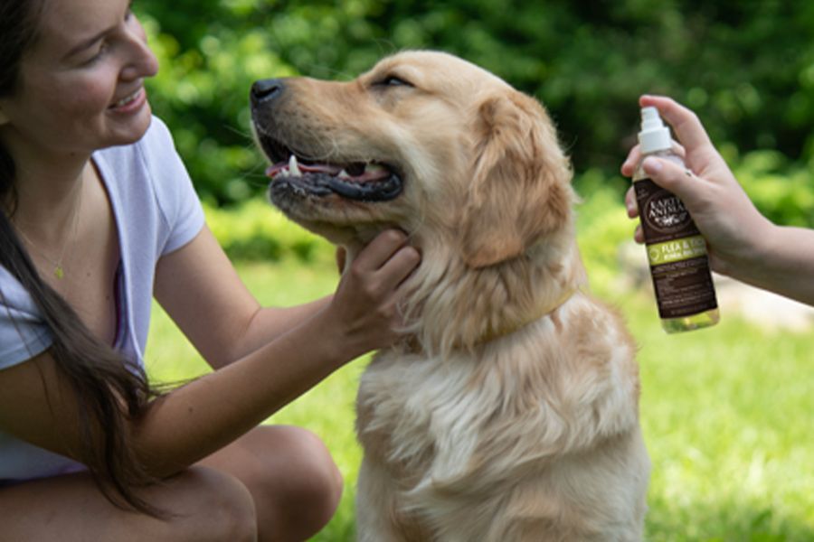 Flea & Tick Prevention & Tips