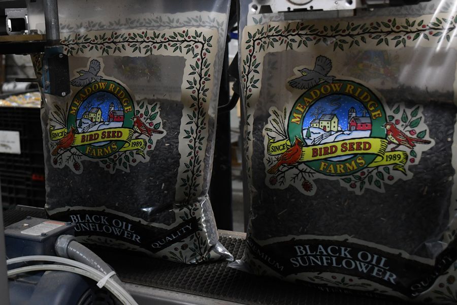 Meadow Ridge Farms Magic