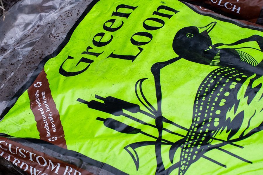 Why Mulch Is One of the Best Things You Can Do for Your Landscape