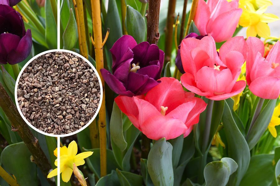 Traction Grit Tip for Spring Planters