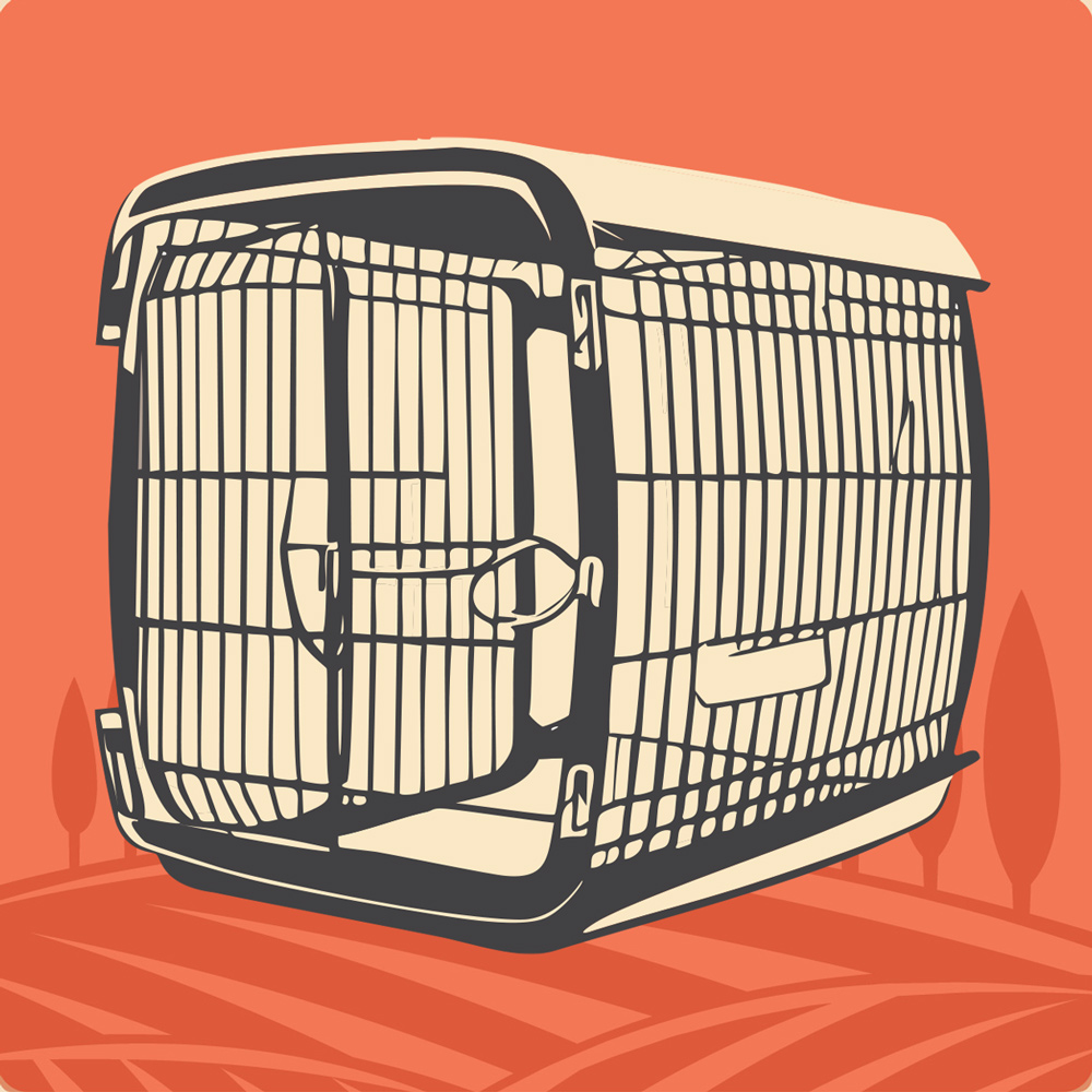 Kennels & Crates