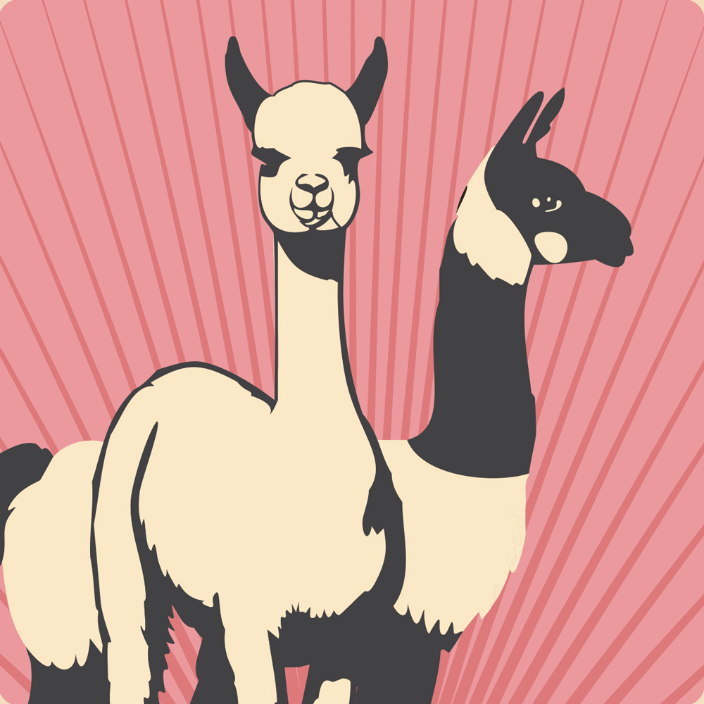 Llama & Alpaca