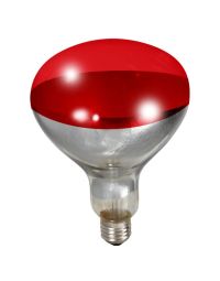 Little Giant Brooder Heat Lamp Bulb, Red