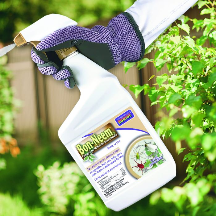 Bonide Bon-Neem II Spray - Thumbnail 4