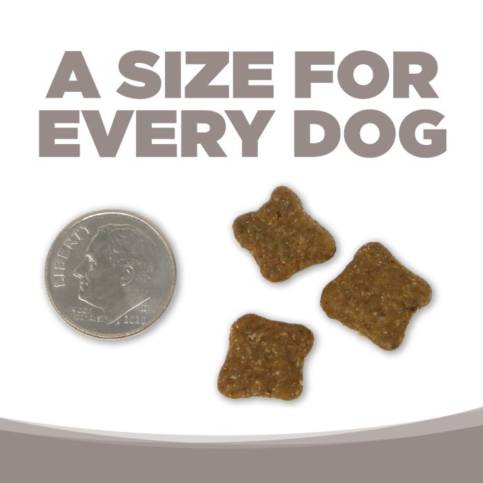 Nutrisource senior grain free dog food clearance