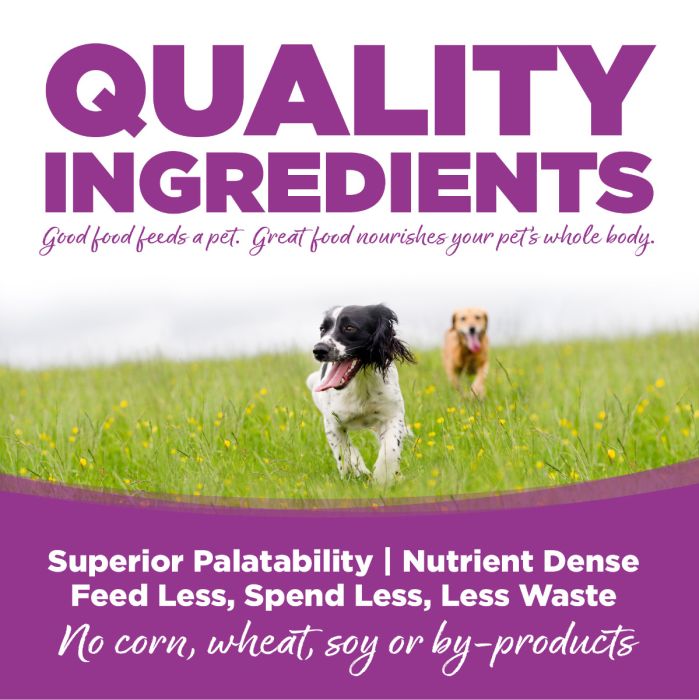 NutriSource Wholesome Grains Large Breed Puppy Recipe Dry Dog Food Spikes Houles Feed