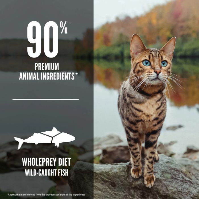 Orijen Six Fish Formula Cat Food Spikes Houles Feed