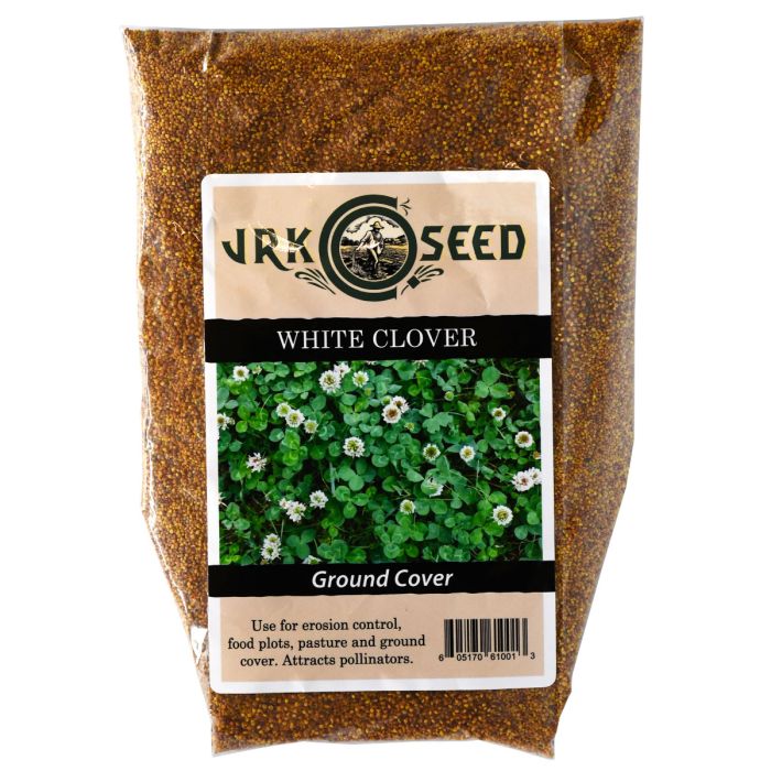 【KIDS用】JOYNT CLOVER KID'S WHITE 7.0\