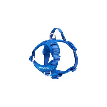 RC Pets Momentum Control Harness, Sapphire