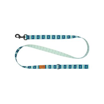 RC Pets Eco Leash, Surfside, 5 Feet