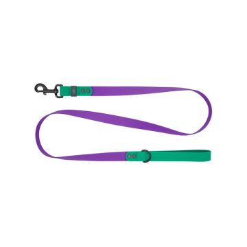 RC Pets Waterproof Leash, Purple/Parakeet
