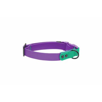 RC Pets Waterproof Collar, Purple/Parakeet