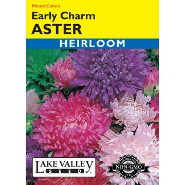 Callistephus, Chinese Aster Mix 'Early Charm' Heirloom