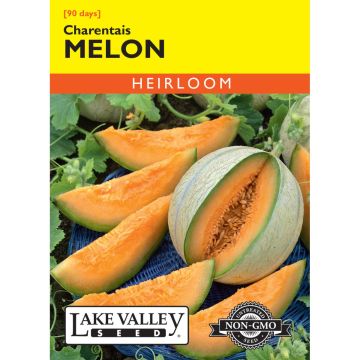 Cucumis, Melon 'Charentais' Heirloom