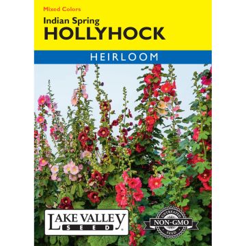 Alcea, Hollyhock Mix 'Indian Spring' Heirloom