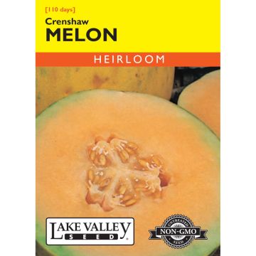 Cucumis, Melon 'Crenshaw' Heirloom