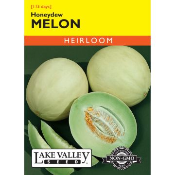 Cucumis, Melon 'Honeydew' Heirloom