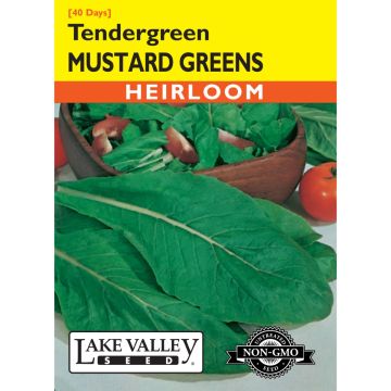 Brassica, Mustard Greens 'Tendergreen' Heirloom