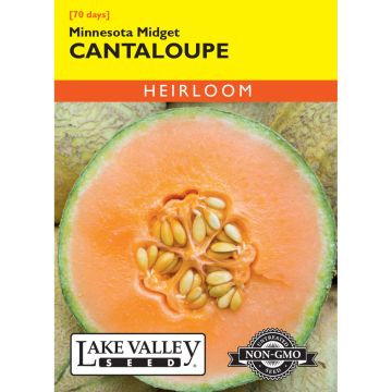 Cucumis, Cantaloupe 'Minnesota Midget' Heirloom