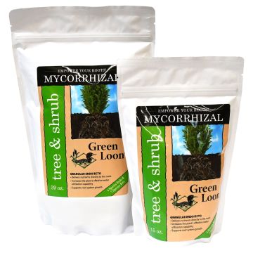 Green Loon® Tree & Shrub Mycorrhizal