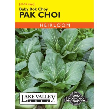 Brassica, Pak Choi/Bok Choy 'Baby' Heirloom