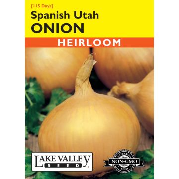 Allium, Sweet Onion (Long Day) 'Spanish Utah' Heirloom
