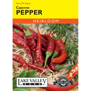 Capsicum, Hot Pepper 'Cayenne' Heirloom