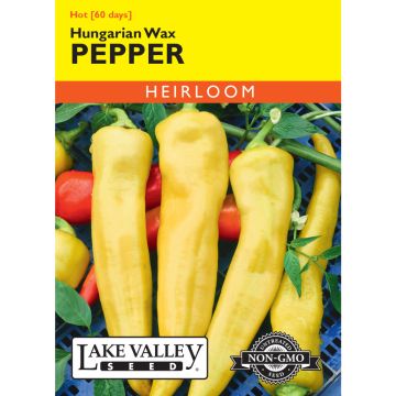 Capsicum, Hot Pepper 'Hungarian Wax' Heirloom