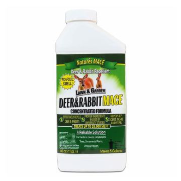 Nature's MACE Deer & Rabbit Repellent, Liquid Concentrate, 40 oz