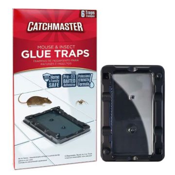 Catchmaster Mouse Sized Glue Traps, 6 Pack