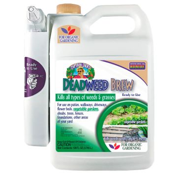 BONIDE Captain Jack’s Deadweed Brew® Ready-to-Use with Power Wand