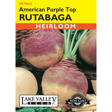 Brassica, Rutabaga 'American Purple Top' Heirloom