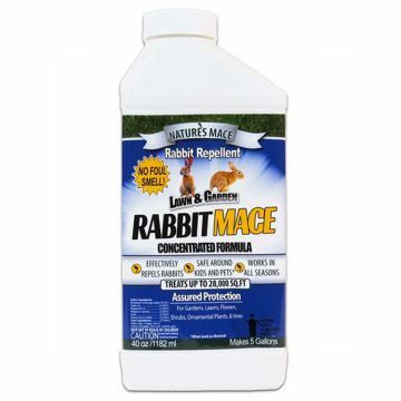 Rabbit MACE Rabbit Repellent, Concentrate Liquid, 40 oz
