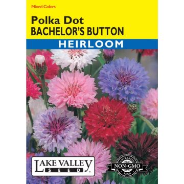 Centaurea, Cornflower Mix 'Polka Dots' Heirloom