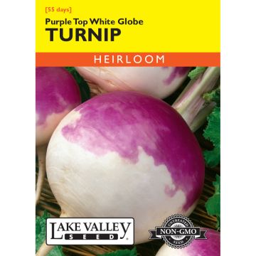 Brassica, Turnip 'Purple Top White Globe' Heirloom