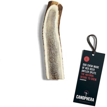 Canophera Dog Chew Made of Red Deer Antler Splits