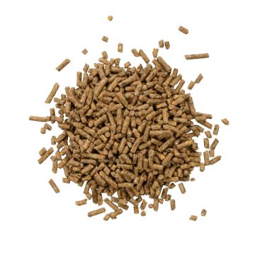 Des Moines Feed 25% Pigeon Pellets Granular, 50lb
