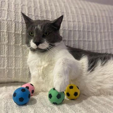SPOT Sponge Soccer Balls 4 Pack