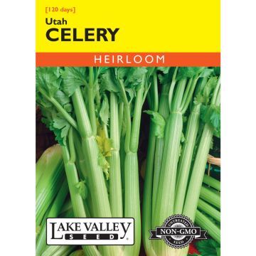 Apium, Celery 'Utah' Heirloom