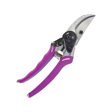 Dramm ColorPoint Bypass Pro Pruner
