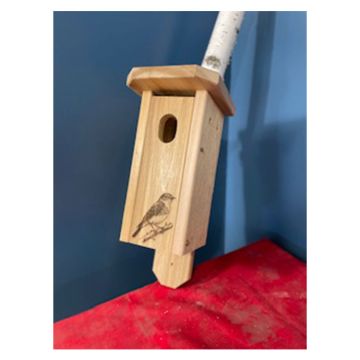 Winter Woodworks Traditional Bluebird House