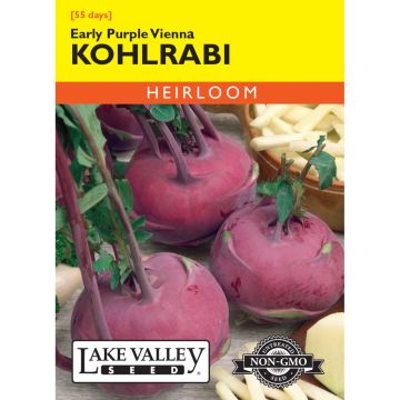 Brassica, Kohlrabi 'Early Purple Vienna' Heirloom