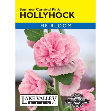 Alcea, Hollyhock 'Summer Carnival Pink' Heirloom