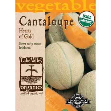Cucumis, Cantaloupe 'Hearts of Gold' Organic Heirloom