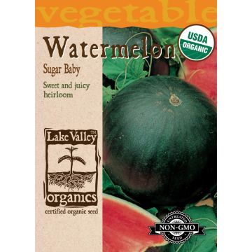 Citrullus, Watermelon 'Sugar Baby' Organic Heirloom
