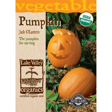 Cucurbita, Carving Pumpkin 'Jack O' Lantern' Organic