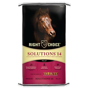 Right Choice Solutions 14 Pelleted Feed for Horses, 50 lbs.
