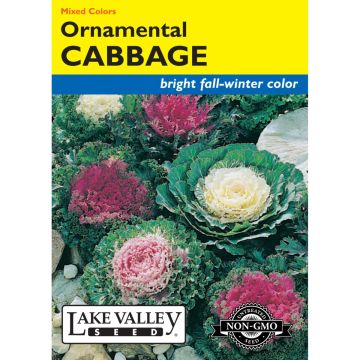 Brassica, Cabbage Mix 'Ornamental'